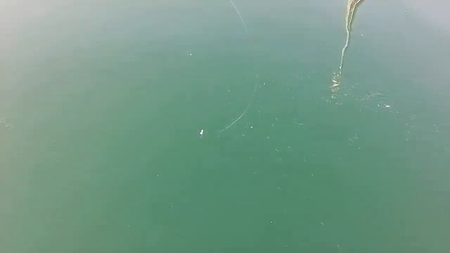 Рыбалка в Сочи. Морской порт: Бычок и ставрида смотреть онлайн