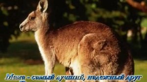 Мама первое слово+