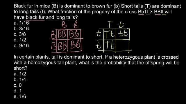 How To Predict Result Of The Cross