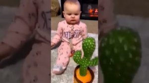 Реакция детей на танцующий кактус