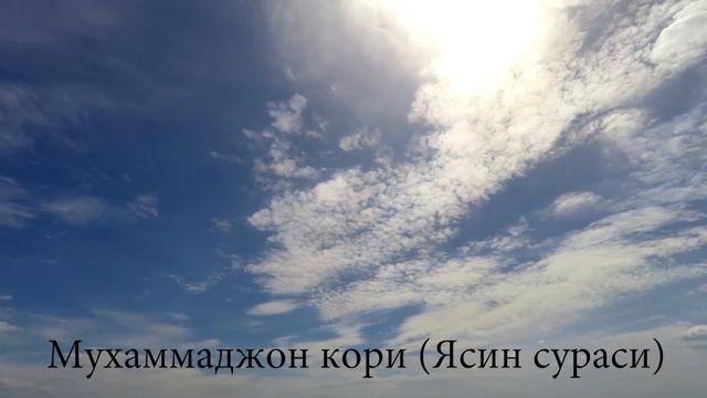 Мухаммаджон кори акамиздан Ясин сураси кироати