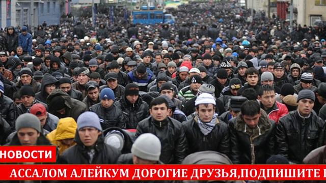Срочно Узбекам Работа в РФ| Отмена Патент| Новости Сегодня Мигрантам! смотреть онлайн