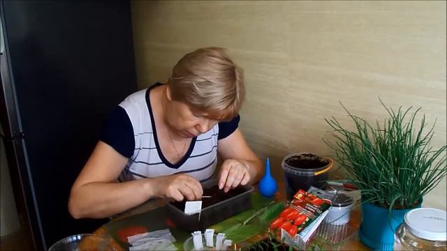 Сеем помидоры для открытого грунта и по мелочи