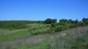 Поселок Левженский Мордовия