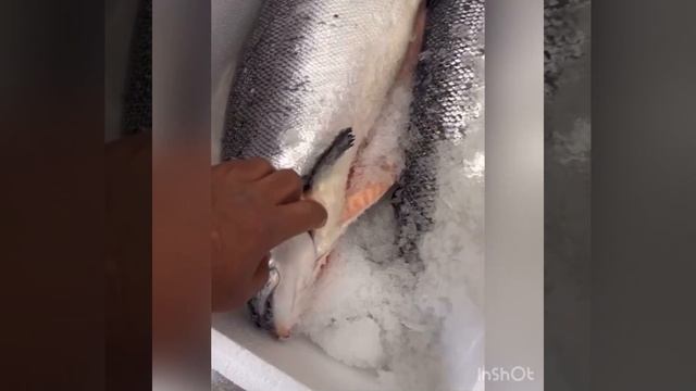 Выбираем лосось смотреть онлайн