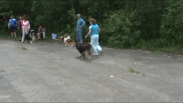 Моно колли г. Березники, Пермск. край 2011 г. смотреть онлайн