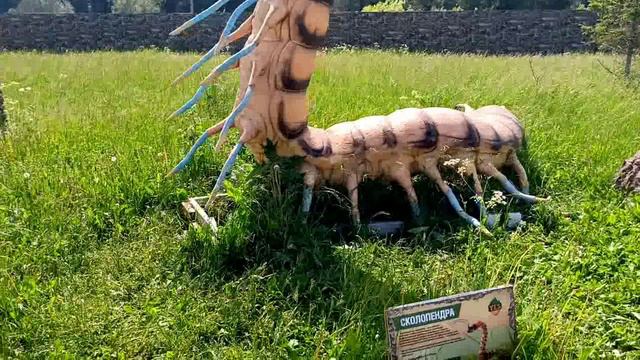 Аквапарк.Встреча с монстрами Юрского периода.