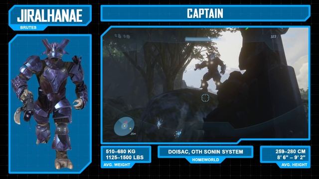 Ranks Of The Covenant – Every Known Covenant Rank | Halo Lore