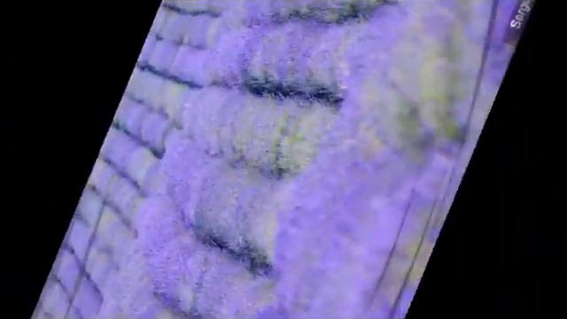 Сиреневое море.flv смотреть онлайн