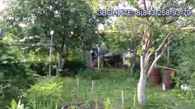 Как бороться с комарами на участке и даче? смотреть онлайн