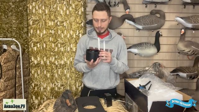 Плавающие утка и селезень кряквы с вращающимися крыльями смотреть онлайн