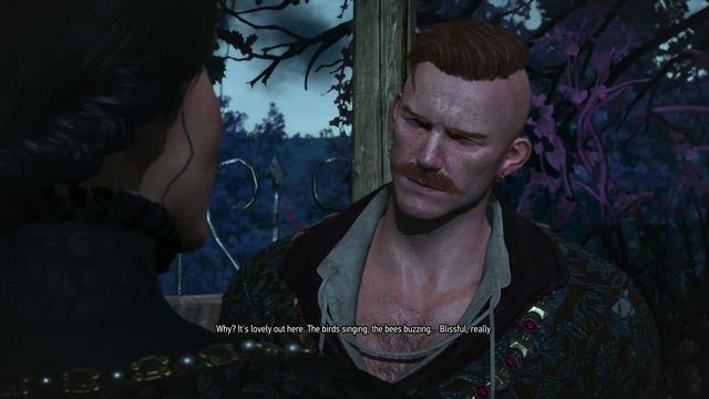 Witcher 3: Wild Hunt - Scenes From A Marriage | Walkthrough [4K] E143 смотреть онлайн