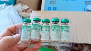 электрофорез "Поток" с Карипаином