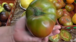 Самые редкие коллекционные томаты. Какие они на вкус? Дегустация всех сортов томатов.