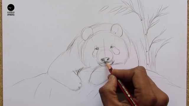 How To Draw A Panda : Pencil Sketch : Panda Drawing смотреть онлайн
