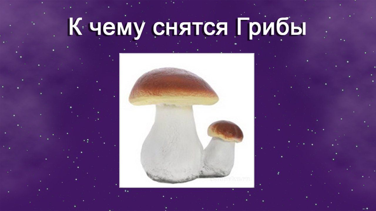К чему снятся Грибы (Сонник) смотреть онлайн