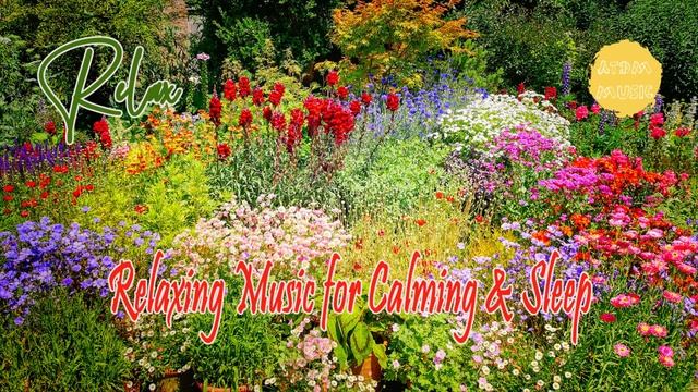 Relax - Relaxing Music For Calming & Sleep, 3+ Hours Relax Music, Stress Relief смотреть онлайн