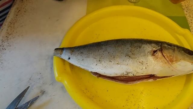 Вкусные рецепты рыбы