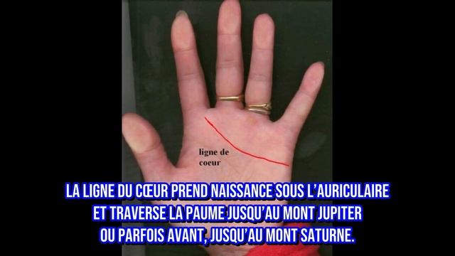 Vous avez la lettre M sur la paume de votre main ? Voici ce que cela révèle sur vous ! смотреть онлайн