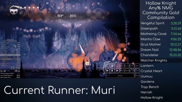 The Perfect Hollow Knight Speedrun: Any% NMG Community Gold Compilation [32:13] смотреть онлайн