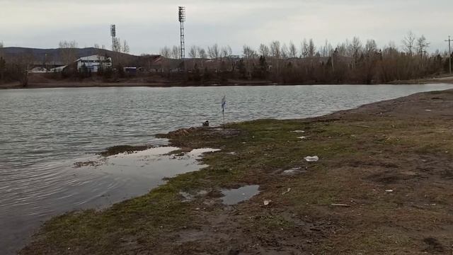 РАБОЧИЕ БУДНИ 21г#219 смотреть онлайн