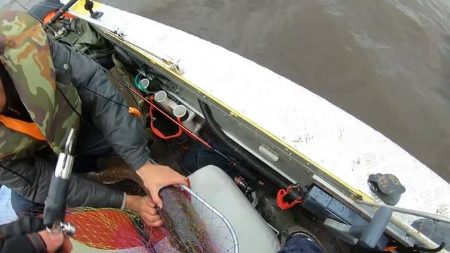 Рыбалка на Ладоге и реке Волхов. Мой новый рекорд по щуке смотреть онлайн