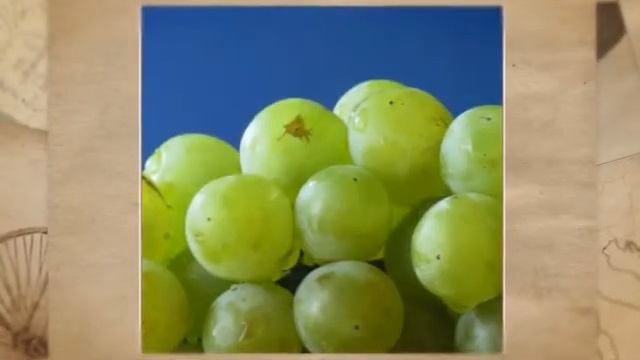 ДИЕТА ДЮКАНА КЕФИРНАЯ ДИЕТА ОТЗЫВЫ смотреть онлайн