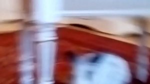 Что делать если кролик не ест