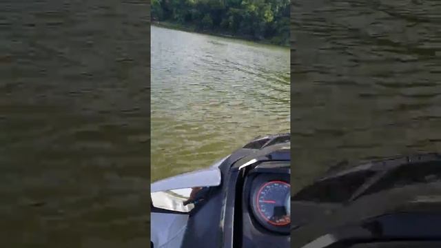 Seadoo gtx 300 limit Houston смотреть онлайн