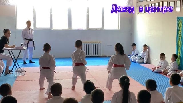 Аттестация . Защита зеленого пояса. Каратэ. Шотокан каратэ до смотреть онлайн