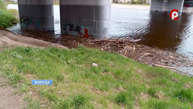 Реки Вологды наполнены мусором смотреть онлайн