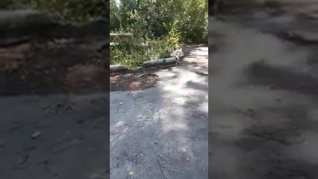 Дворец культуры Челябинского металлургического завода. смотреть онлайн