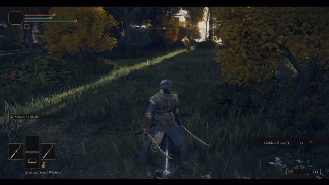 Elden Ring PS5 remote play test. (M1 IPAD 2021) смотреть онлайн