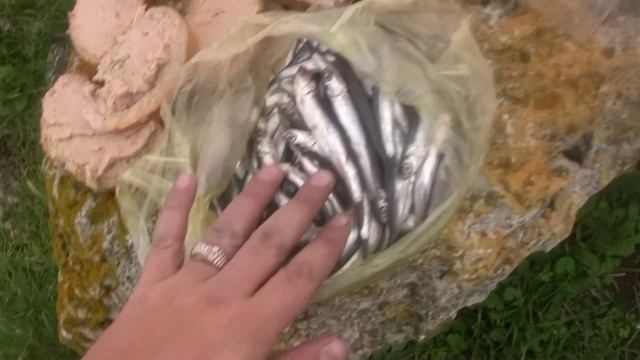 Смак во тьме: Севастополь,Херсонес 2015 смотреть онлайн