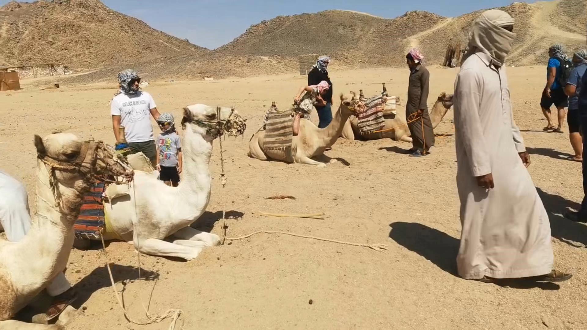 Египет ХУРГАДА семейное сафари ТЦ Senzo Mall День 7. смотреть онлайн