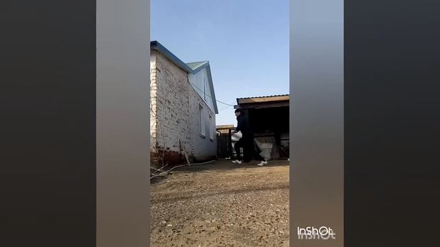 Сасыколи Просто Колян смотреть онлайн