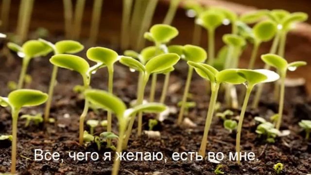 6 Медитация Дипак Чопра - Семена успеха смотреть онлайн