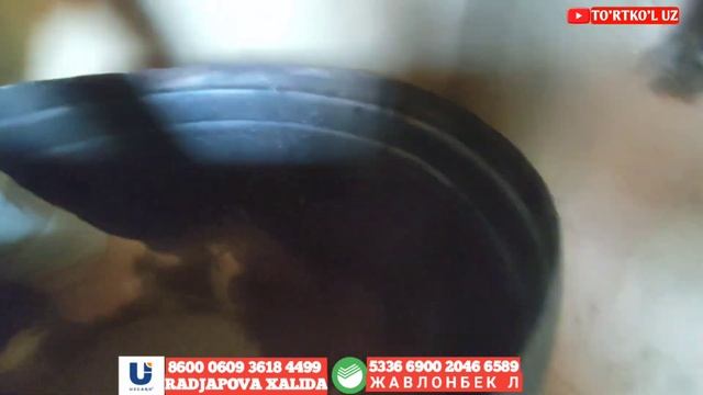 ПЕЧ КУРИШ ИШЛАРИ БОШЛАНДИ смотреть онлайн