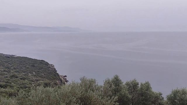 Кушадасы. Базар. Турция / Kusadasi. Bazaar. Turkey