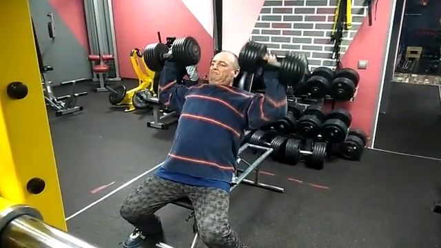 жим гантели сидя 28кг смотреть онлайн