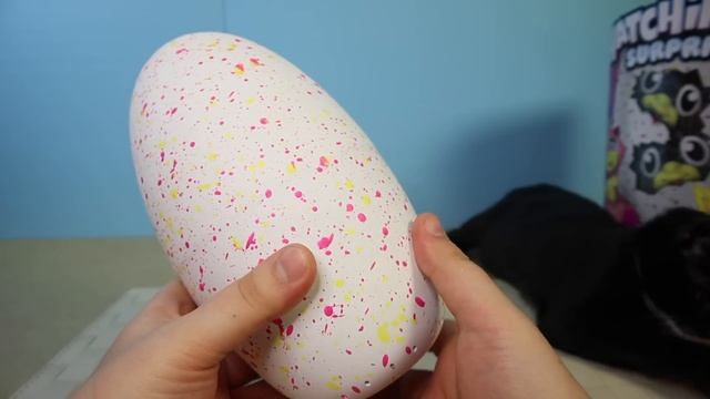 ХЭТЧИМАЛС ДВОЙНЯШКИ БЛИЗНЕЦЫ HATCHIMALS Twin Полное вылупление смотреть онлайн