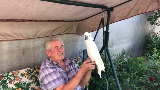 Наш Кирюня балованый. Our Kiryunya is spoiled! смотреть онлайн