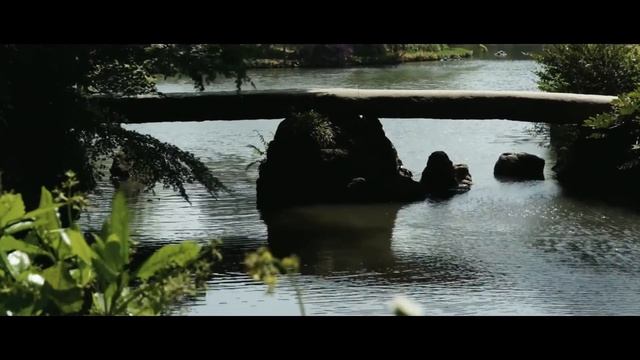 Film Look Test Video with SONY NEX-6 смотреть онлайн