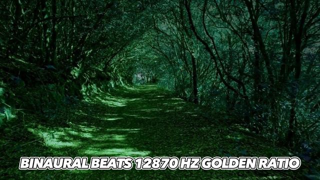 Discovering the Magic of 12870Hz Binaural Beats in the Golden Ratio. @Stefan.Amariei смотреть онлайн