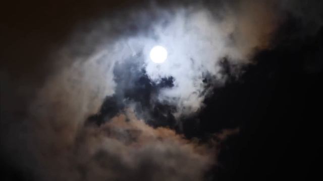 St. Isaac the Syrian and the Fullness of the Desert смотреть онлайн