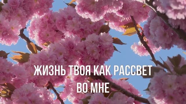 Можешь только Ты | Караоке | Прославление смотреть онлайн
