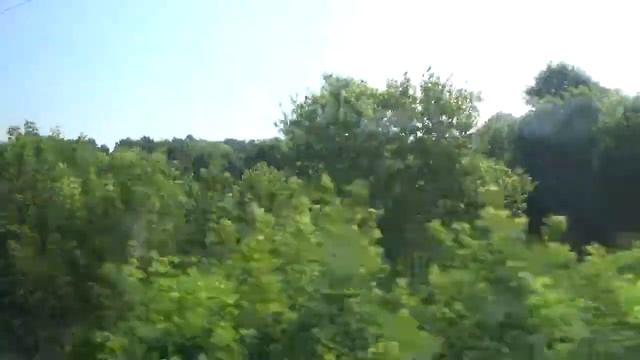 урочище Ямская дача Белгородский район смотреть онлайн