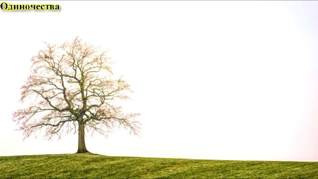 надо думать не только о деньгах, а как избежать "Одиночества" смотреть онлайн