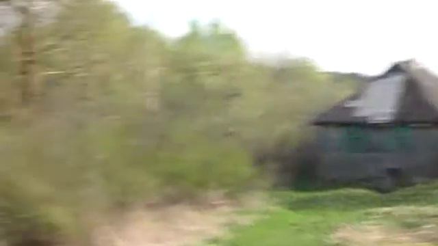 Гигантское аистиное гнездо. Псковская область смотреть онлайн