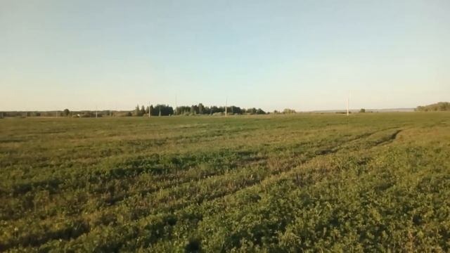 Весенняя прогулка и пару слов о кормлении лошади ?? смотреть онлайн